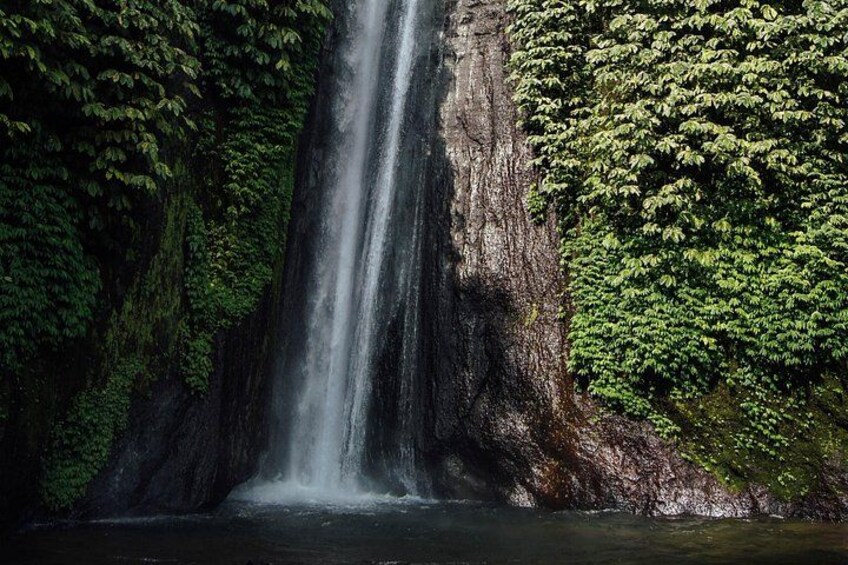 Best of Bali Waterfalls. Part 2 (Sekumpul, Munduk, and Banyumala Twins) 5