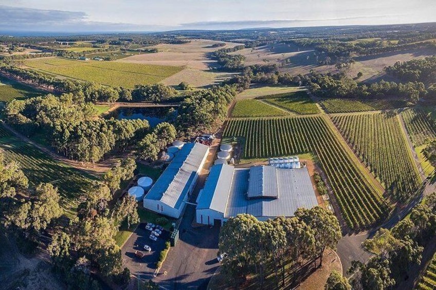 An aerial view of a vineyard with rows of grapevines, a large building with a blue roof, and surrounding fields. 4