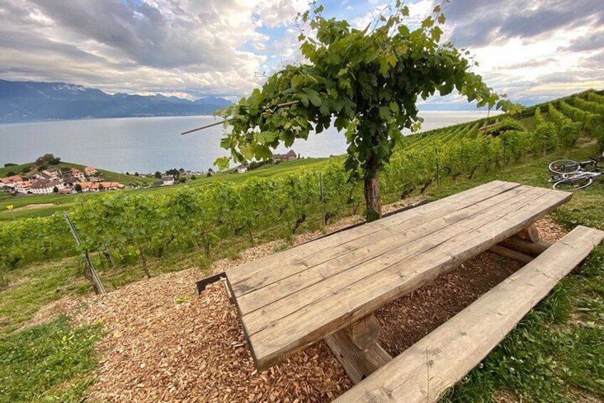 Panoramic spots to sample wine and learn about wine tasting 2