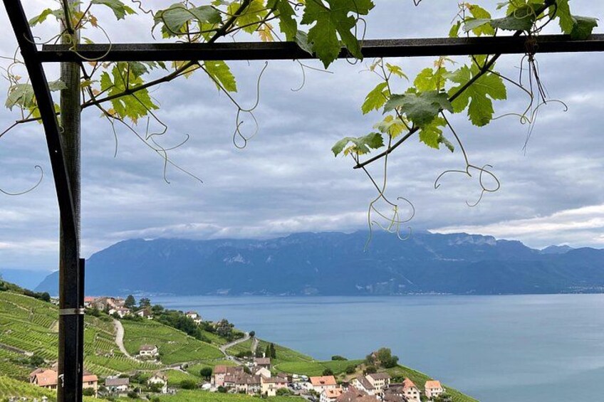 Reveling in the best of Lavaux 3