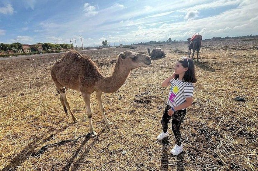 Marrakech: Atlas Mountains, Berber Villages, Agafay & Camel Ride 4
