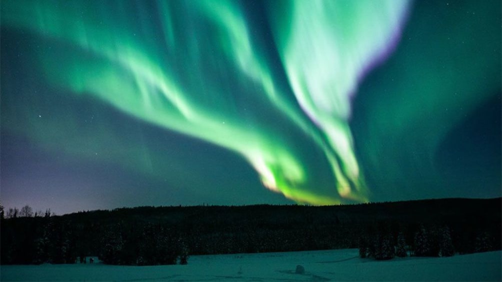 Northern lights glowing over the trees in Fairbanks