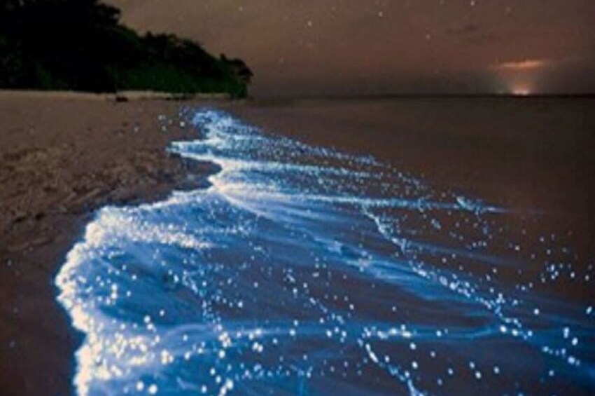 Bioluminicence from Puerto Escondido