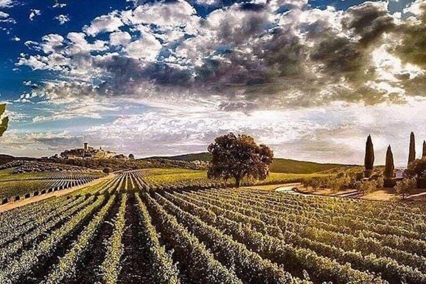 Private Day Trip Siena and Chianti Wine Experience with lunch 2