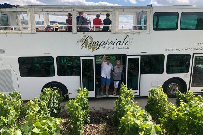 A stop in the vineyards 2