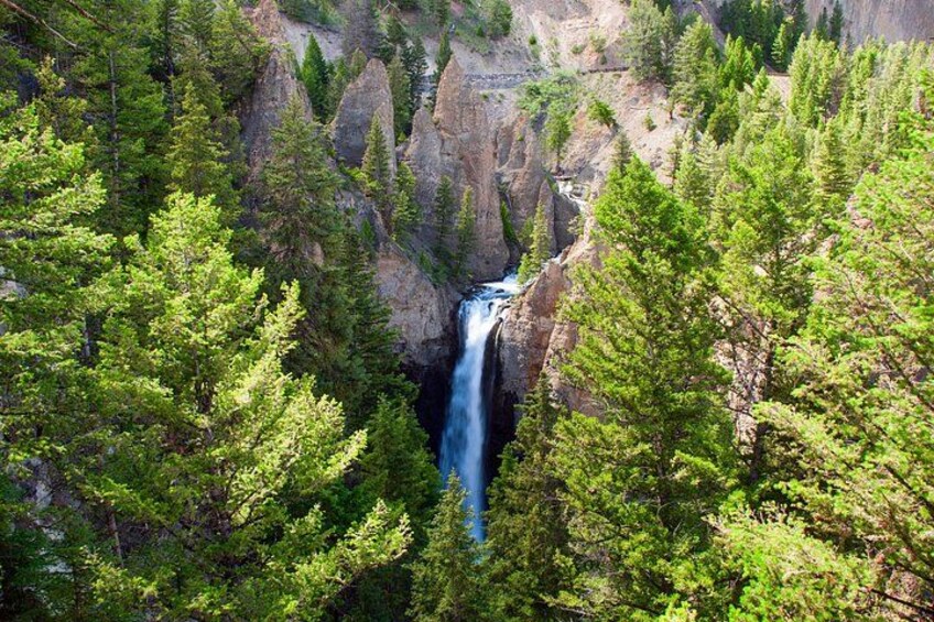 A waterfall surrounded by dense green forest. 1