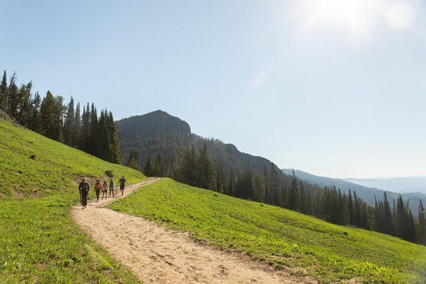 Full Day Private Tour and Hike from West Yellowstone 2