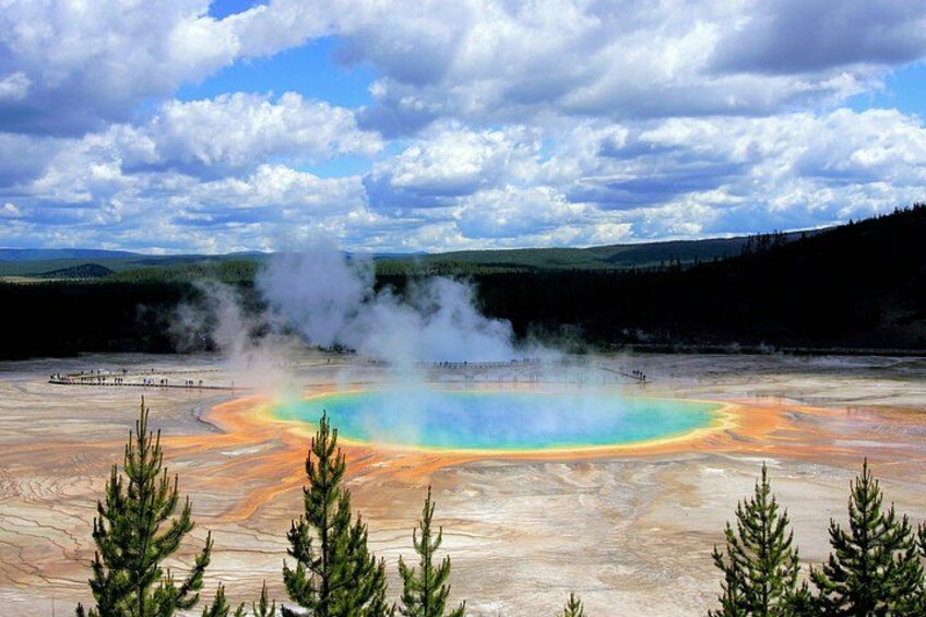 A geothermal hot spring with a colorful pool surrounded by forest. 5