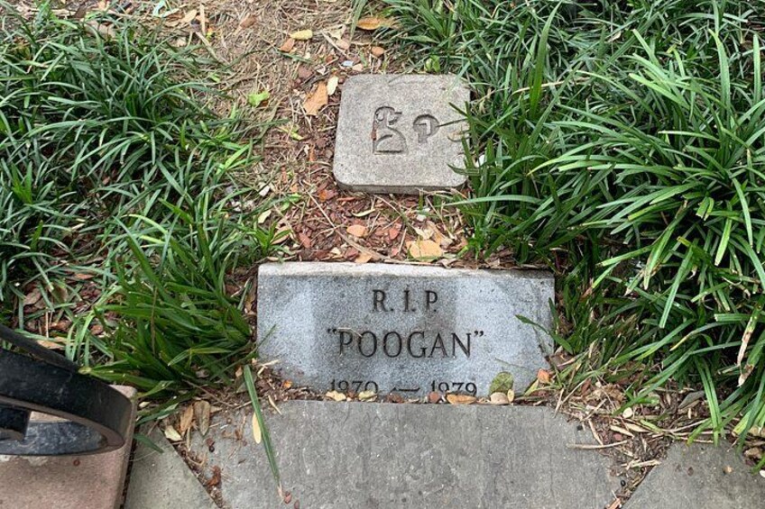 Poogan the pooch's final resting place. But he quickly returned. 4