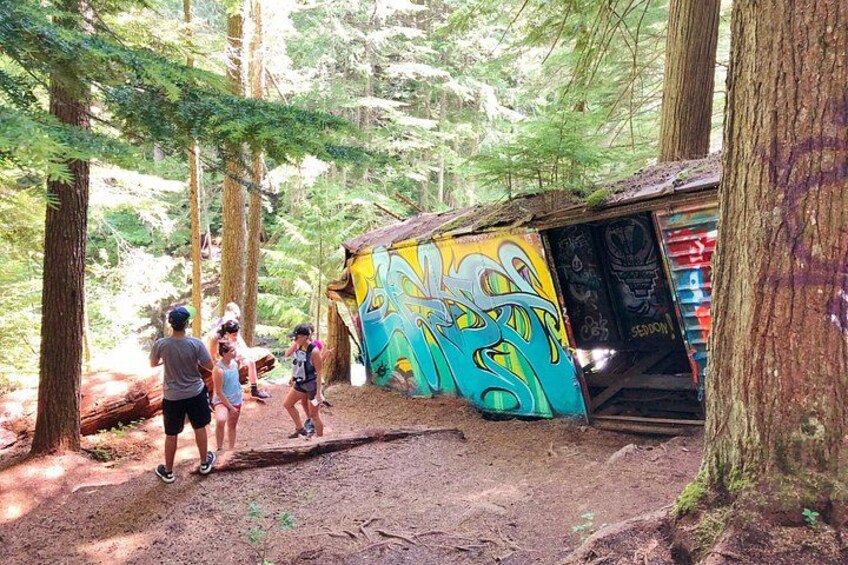 Un área boscosa con una estructura cubierta de grafitis coloridos y un sendero de tierra. 3