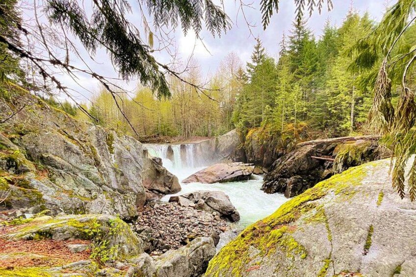 Una cascada, terreno rocoso y un bosque denso. 5