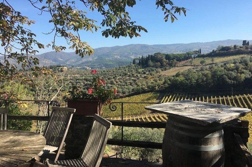Chianti Farm 3
