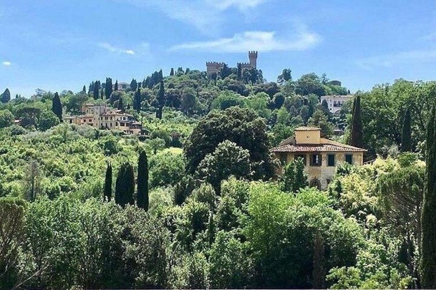 Un paisaje exuberante y verde con un castillo en una colina, rodeado de árboles y edificios. 2