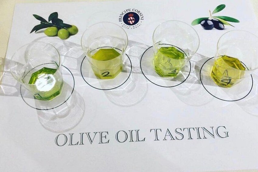Private Day Trip Wine Experience with lunch in Chianti Classico 4