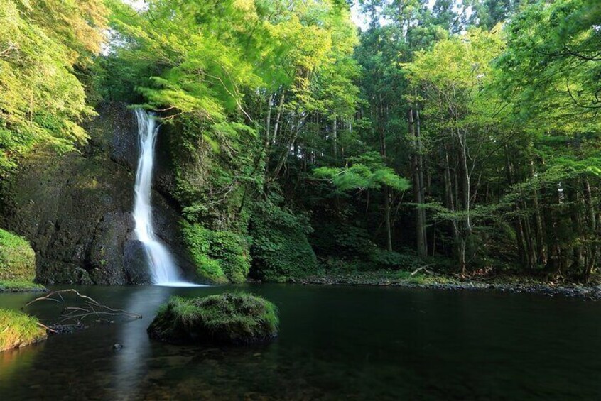 Shirakami Sanchi Day Hike with Government-Licensed Guide