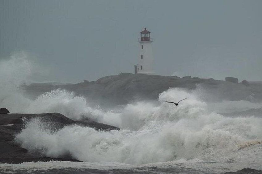 Peggy's Cove with Mother Nature with Knickers in a MAJOR Knot !! 3