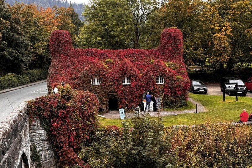 A house covered in red foliage, a stone bridge, and a road. 4