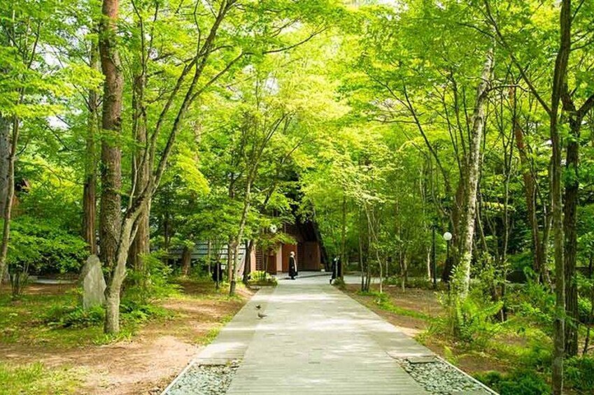 A pathway through a forest with trees and a building in the distance. 2