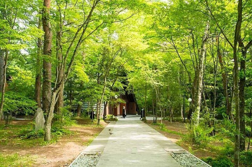 Karuizawa Full-Day Private Trip with Nationally-Licensed Guide 4