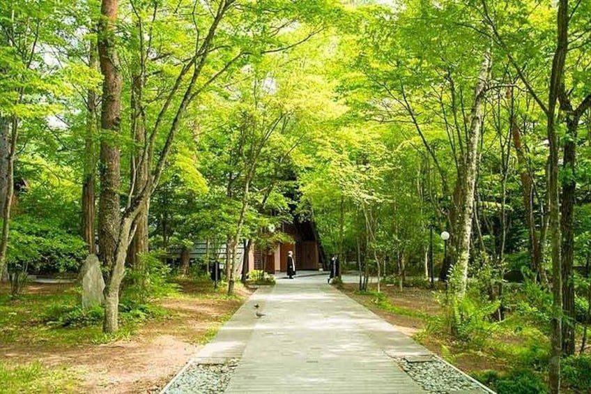 A pathway through a forest with trees and a building in the distance. 2