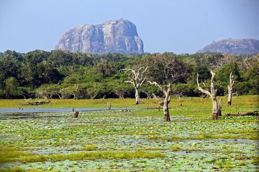 Yala National Park Full Day Safari Tour from Ella 2