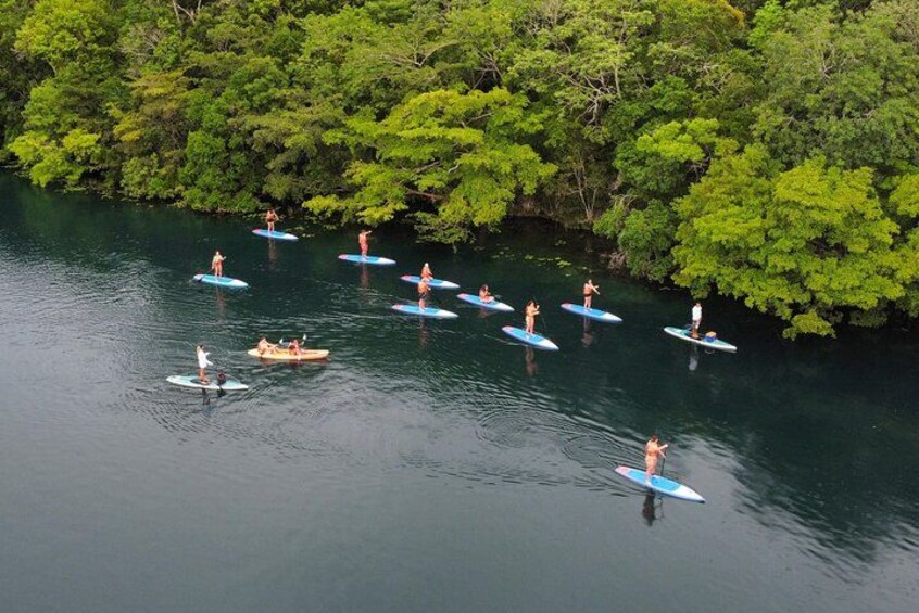 People on paddleboards in a river surrounded by dense green foliage. 4