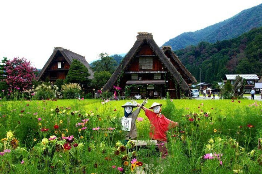 Shirakawago Day Trip: Government Licensed Guide & Vehicle from Takayama