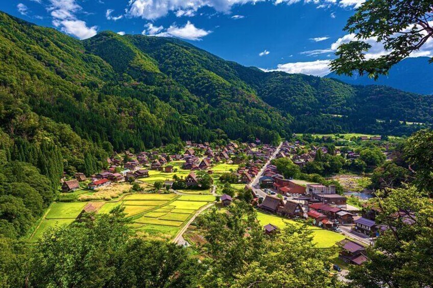 Shirakawago Day Trip: Government Licensed Guide & Vehicle from Takayama