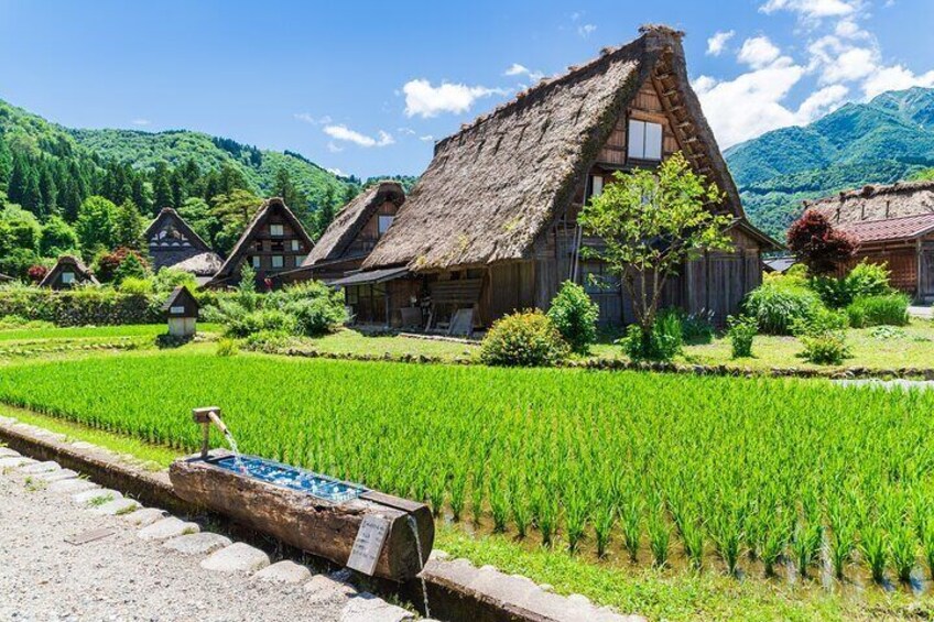 Shirakawago Day Trip: Government Licensed Guide & Vehicle from Takayama