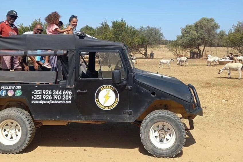 A black off-road vehicle with people on the back, parked in a dry, open area with trees and grazing animals in the background. 2
