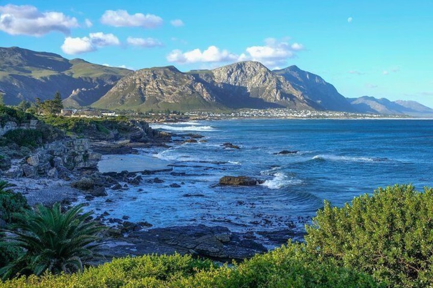 6 Day Garden Route Small Group Tour Fr CapeTown - Departs Mondays