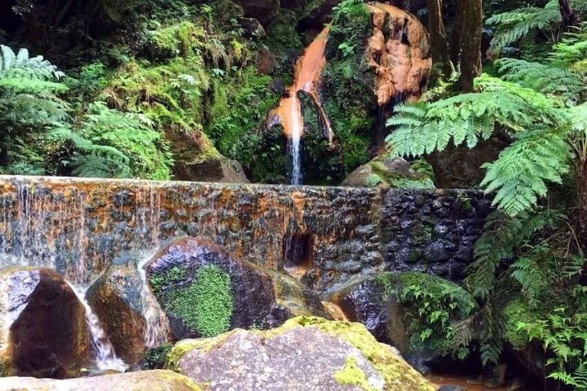 Lagoa do Fogo: Biologist-guided Volcano Geo e-Tour +Hot Springs 5