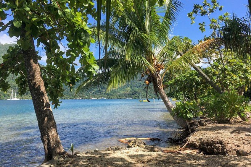 Land and Sea cultural tour to discover traditions, heritage and the lagoon 3