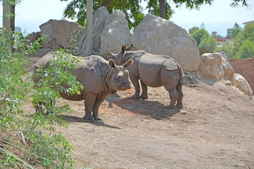 Offer Summer Terra Natura entrance ticket Benidorm 5