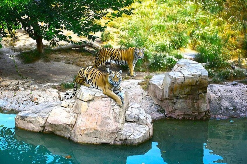 Offer Summer Terra Natura entrance ticket Benidorm 2