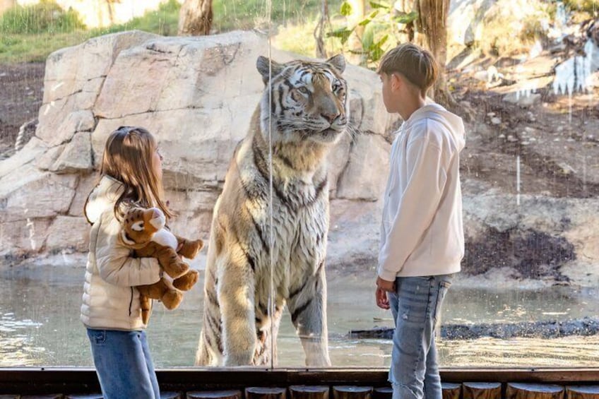 Offer Summer Terra Natura entrance ticket Benidorm 3