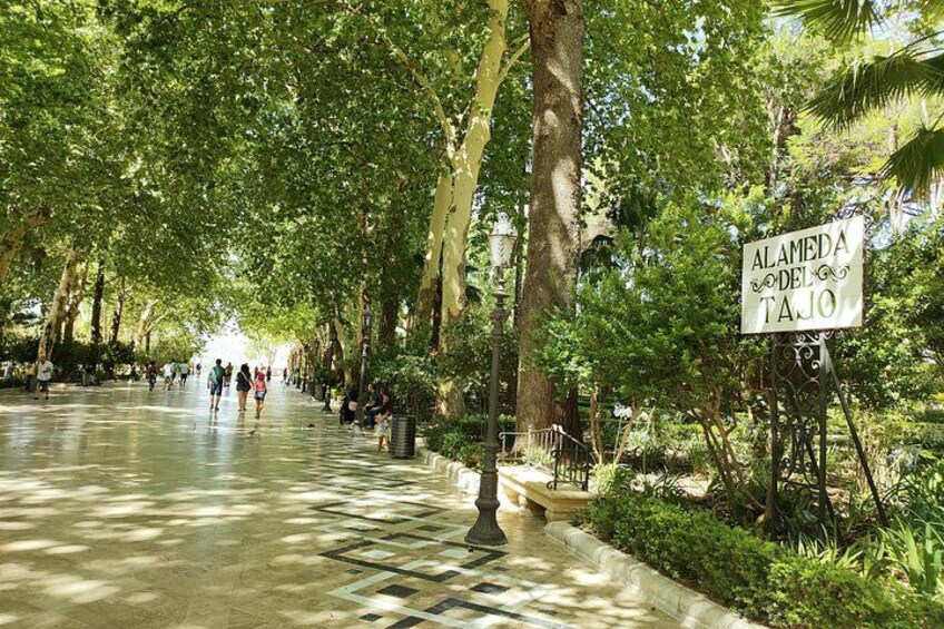 Ronda, the dreamt city: Private Walking Tour 5