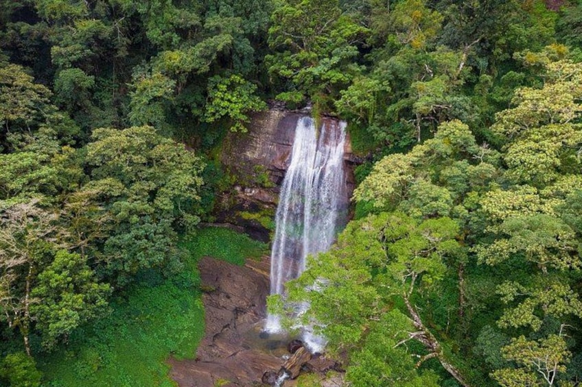 Ein Wasserfall, umgeben von dichtem, grünen Wald. 3