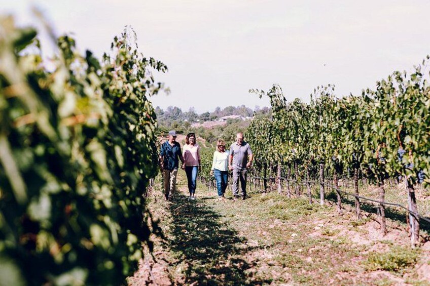 Double date in the vineyards 5