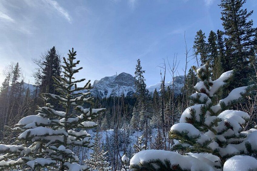 Canmore: Lost Towns and Untold Stories Hiking Tour - 3hrs 5