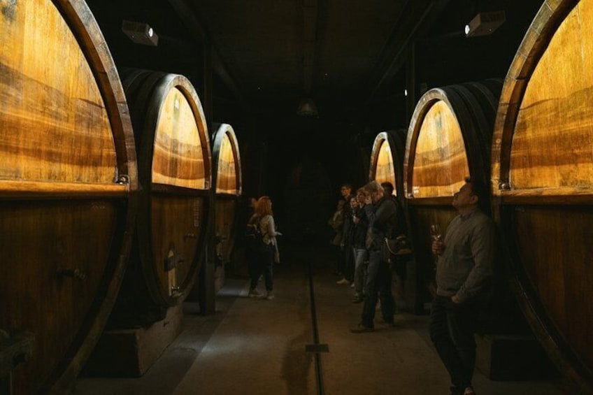 Immersive Cellar Tour - tasting - Kougelhopf to Strasbourg 4