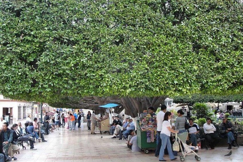 A crowded outdoor market with people sitting and standing under a large tree. 2