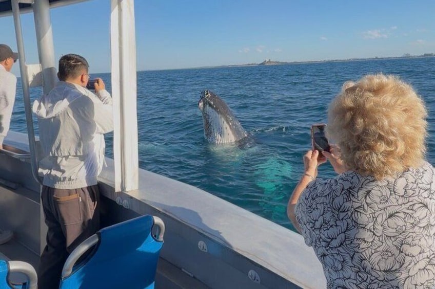 A whale breaching the water, a boat, and people taking photos. 1