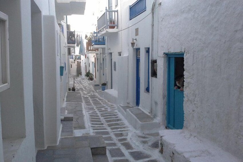Une rue étroite bordée d’immeubles blancs aux portes bleues. 5