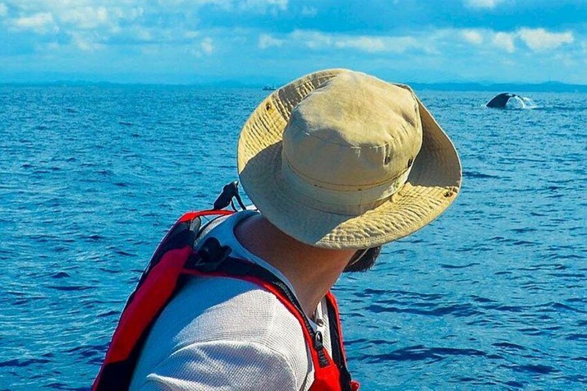 A person wearing a straw hat and a red backpack, looking out at the ocean. 3