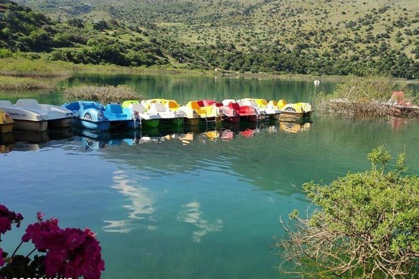 Discover Rethymno, Lake Kournas & the Secrets of Cretan Olive Oil 5