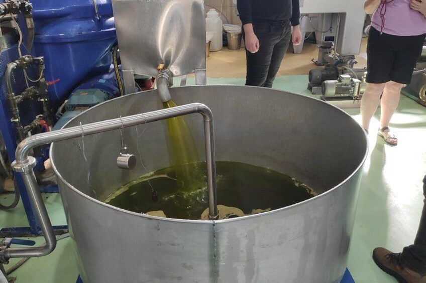 Discover Rethymno, Lake Kournas & the Secrets of Cretan Olive Oil 2