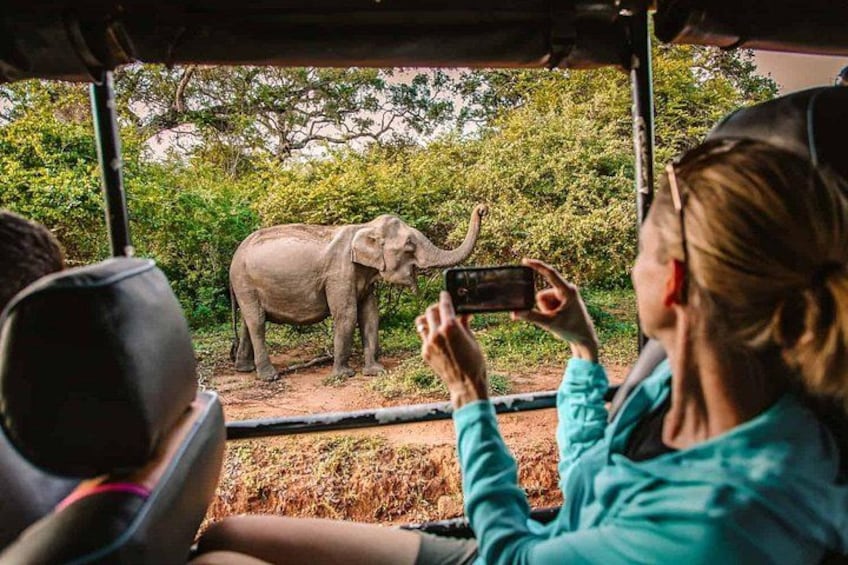Una persona fotografiando un elefante. 3