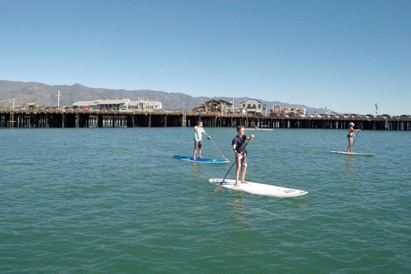 Kayak or Stand Up Paddle Board Rental 2