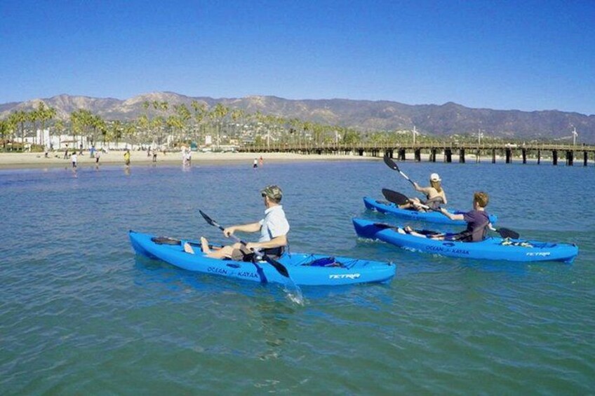 Kayak or Stand Up Paddle Board Rental 3